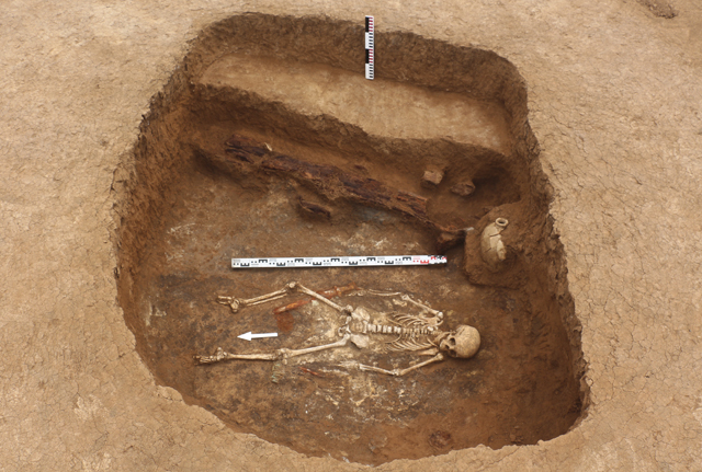 археологическая экспедиция. экспедиции института археологии. материалы пенджикентской археологической экспедиции. раскопки по русско турецкой войне.