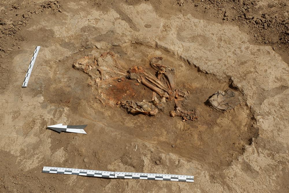 экспедиции института археологии. археологические экспедиции ран. фанагорийская археологическая экспедиция. белинская археологическая экспедиция. раскопки в курской области.