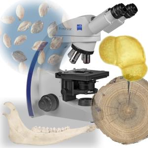 Лаборатория естественнонаучных методов в археологии